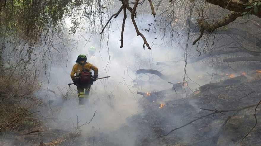 La Consejería de Sostenibilidad se estrena con la brecha con los bomberos forestales de Andalucía abierta