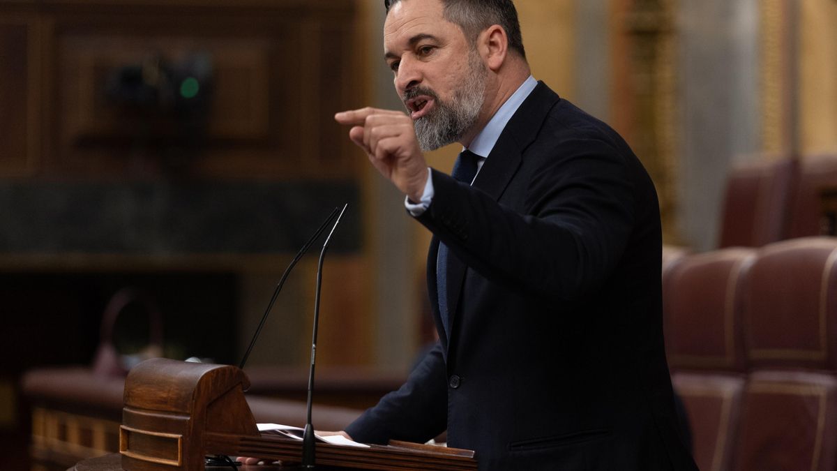 Archivo - El presidente de VOX, Santiago Abascal, interviene durante una sesión plenaria en el Congreso de los Diputados.