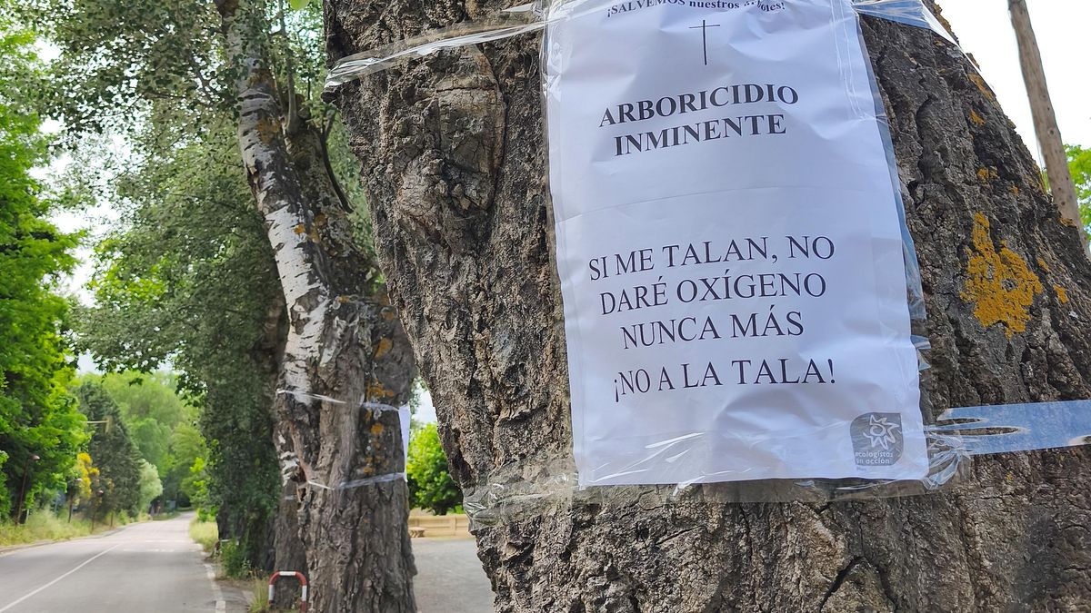 Campaña no a la tala en Haro