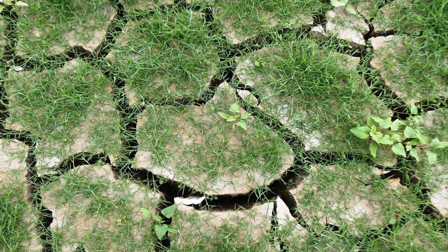 El 85% de la cuenca del Ebro sufrió sequía prolongada el pasado año hidrológico, la más intensa desde los 90