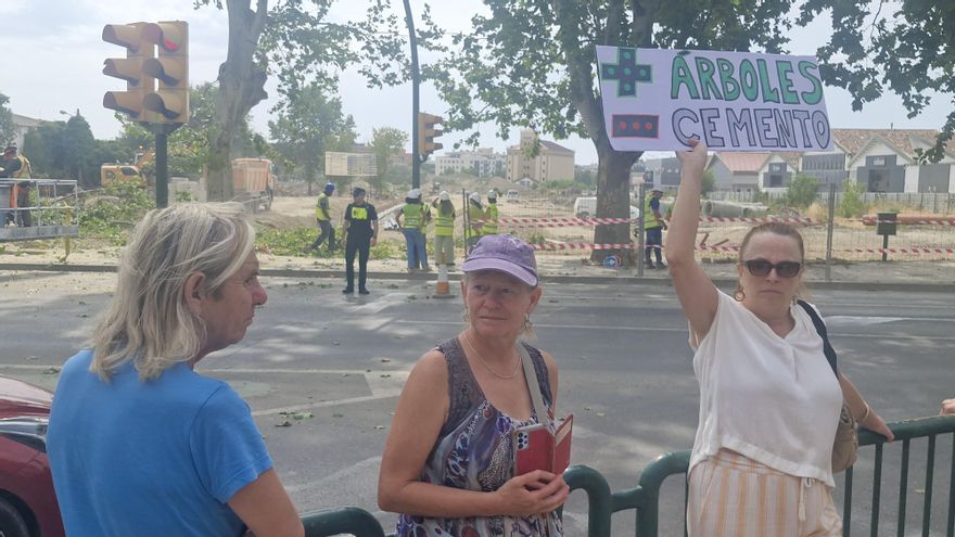 La 'guerra verde' de Huesca: la tala de árboles abre el curso político con protestas y una nueva plataforma ciudadana