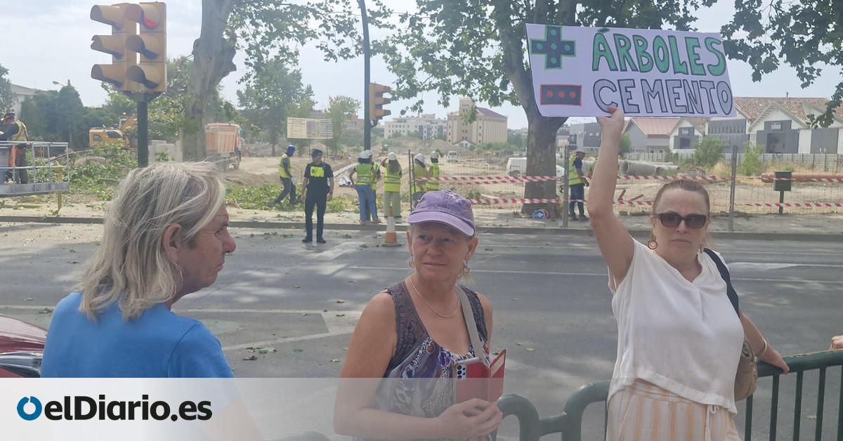 La 'guerra verde' de Huesca: la tala de árboles abre el curso político con protestas y una nueva plataforma ciudadana
