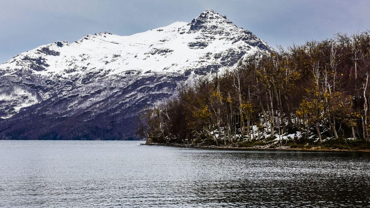 El lago La Plata, en la provincia de Chubut. El centro de cría Shoonem, que opera en esta zona, es el único de este tipo autorizado para trabajar con los huemules de Argentina