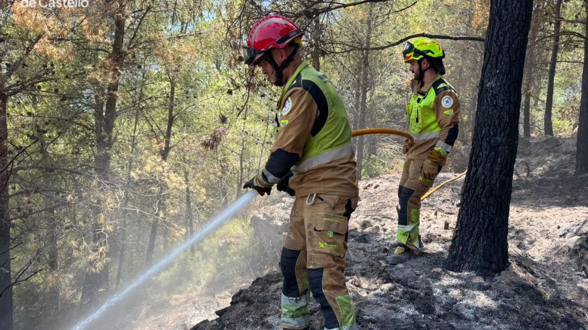 Ecologistes en Acció pide suspender la caza en 13 municipios de la Serra d’Espadà tras el incendio de la Vall d’Uixó que arrasó más de 9.000 hectáreas
