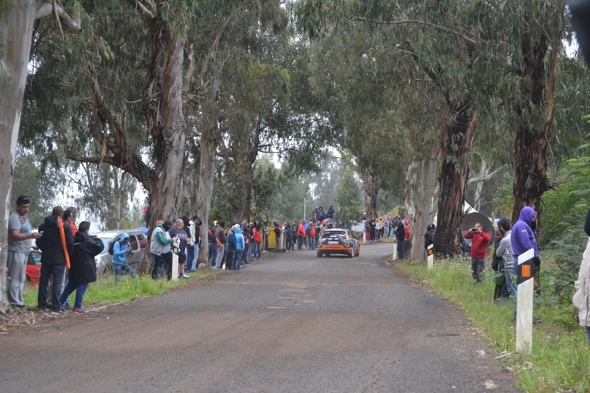 La salida del Rally Islas Canarias en el primer tramo del viernes 11, de Moya a Fontanales. (Iván Alejandro).