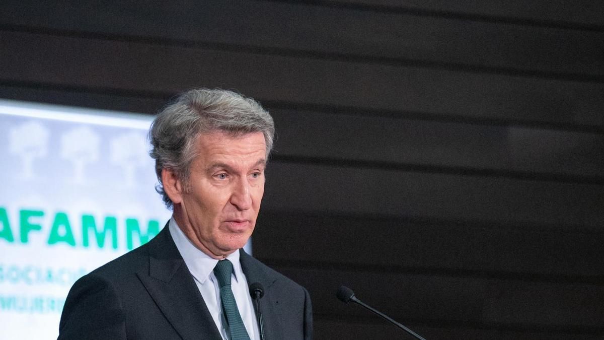 El presidente del PP, Alberto Núñez Feijóo.