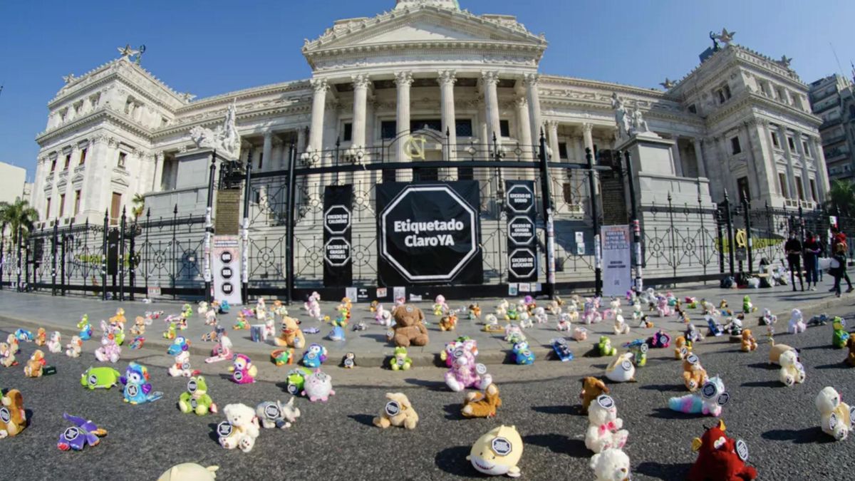 Acción de Fundeps, SANAR y Consciente Colectivo frente al Congreso en el 2021, en apoyo de la ley de etiquetado.
