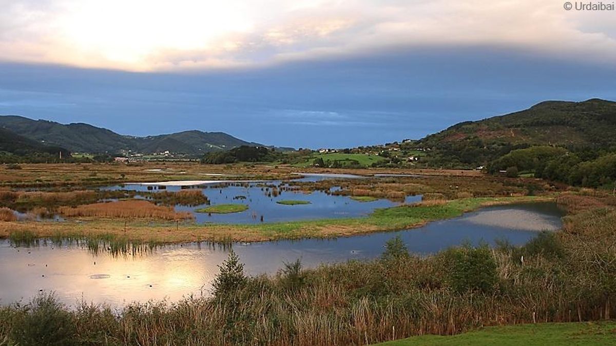 Bizkaia celebra este domingo el Día mundial de los Humedales en Urdaibai