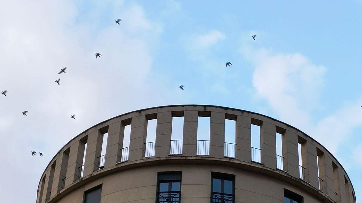 Edificio cilíndrico entre la plaza del Pilar y las Murallas Romanas en Zaragoza, en plaza de san Antón, coronado por trece aves en diversas posturas.