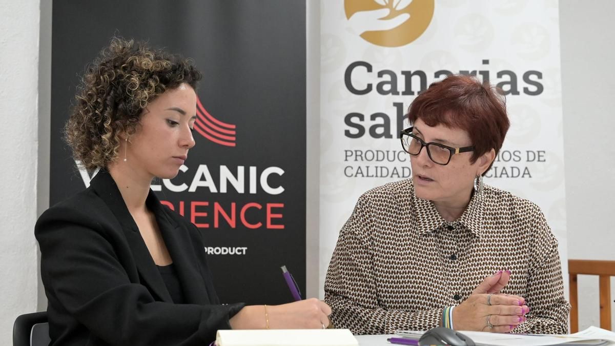 El Instituto Canario de Igualdad aprueba la propuesta de decreto que regulará las ayudas a víctimas de violencia sexual