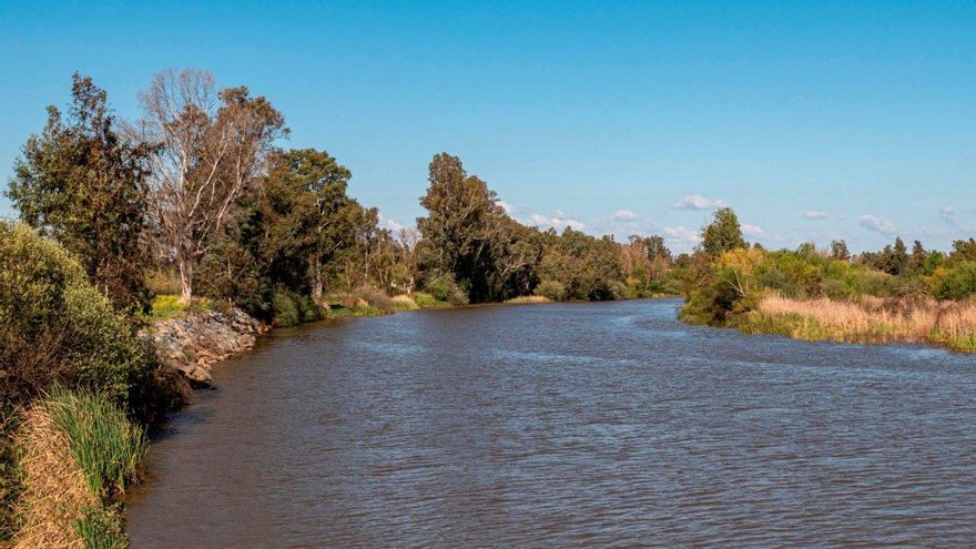 Los pantanos del Guadiana cogen otros 36 hectómetros y los del Tajo 43, suben al 30% y 51,8%