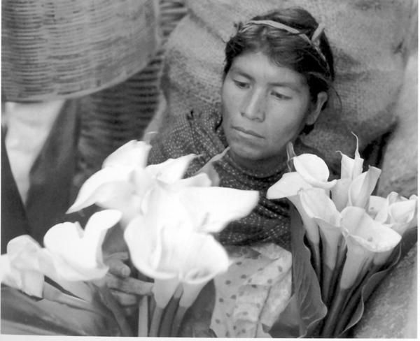 De la serie Aborígenes del Gran Chaco