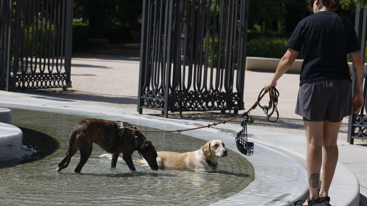 La Comunidad de Madrid arranca la semana con 41 grados y aviso naranja por calor