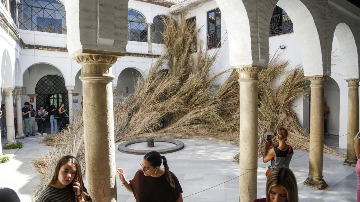 FLORA 2026 - Mas Rasa (Palacio de Orive)