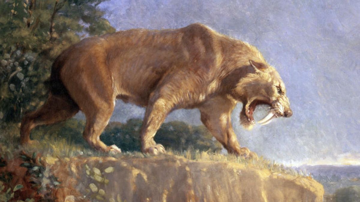 La evolución fue afinando una forma muy concreta de cazar