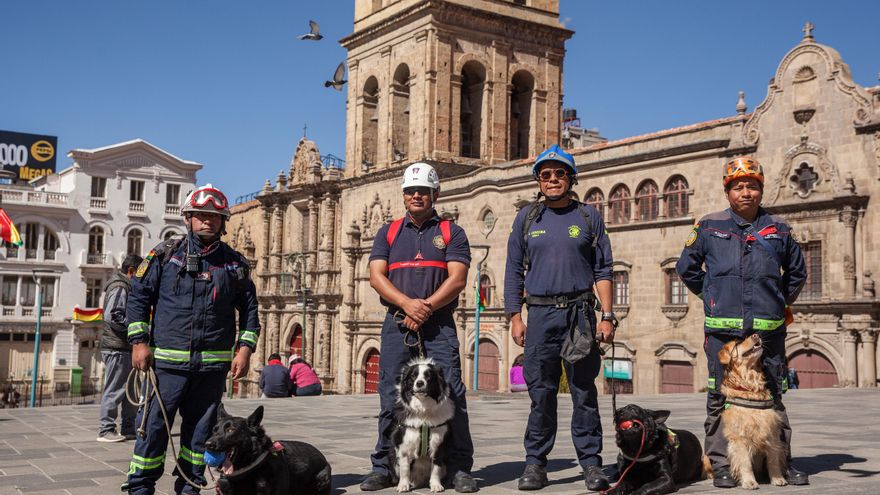 Perros bolivianos se gradúan en búsqueda y rescate de seres humanos en medio de escombros