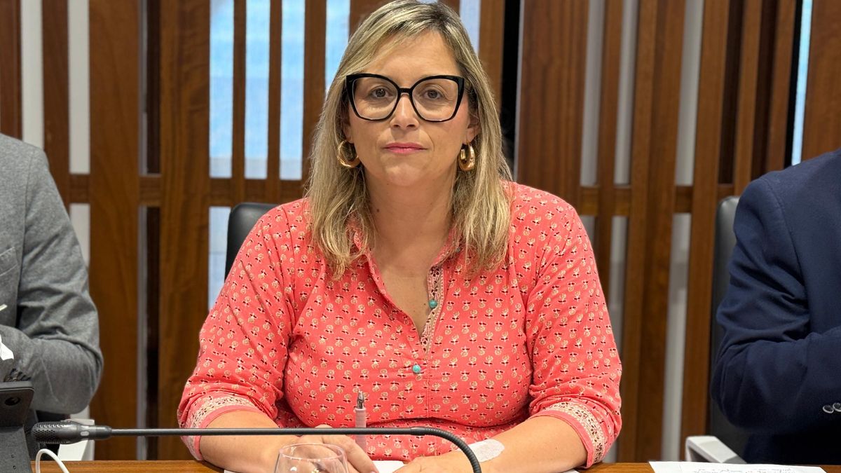 Nayra Castro, consejera del Grupo Popular  del Cabildo de La Palma.