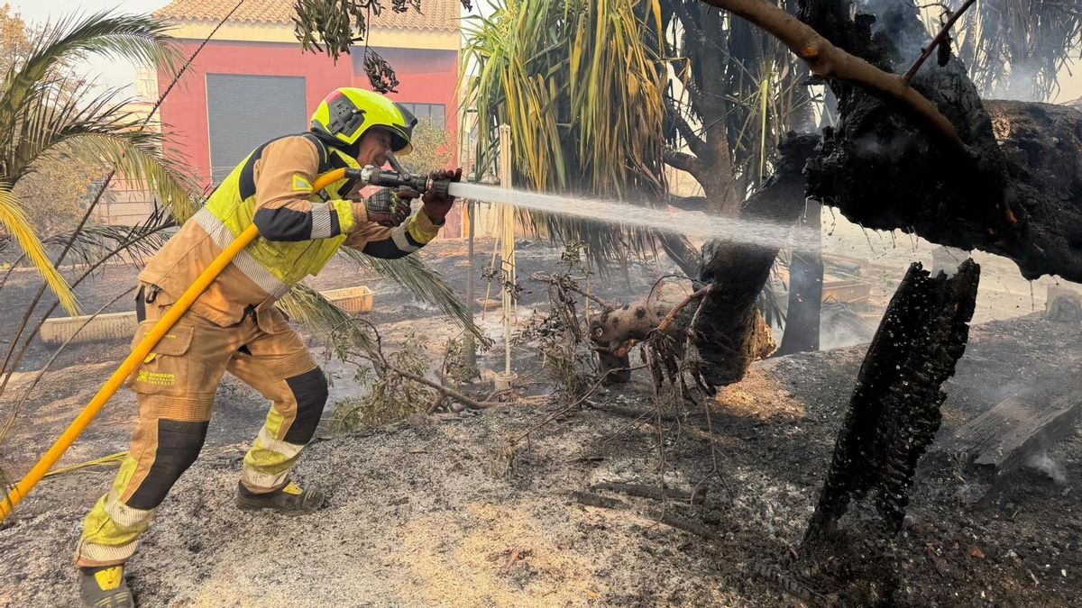 Viento de poniente, baja humedad y calor, la "muy adversa" situación del incendio en la Vall d'Uixó