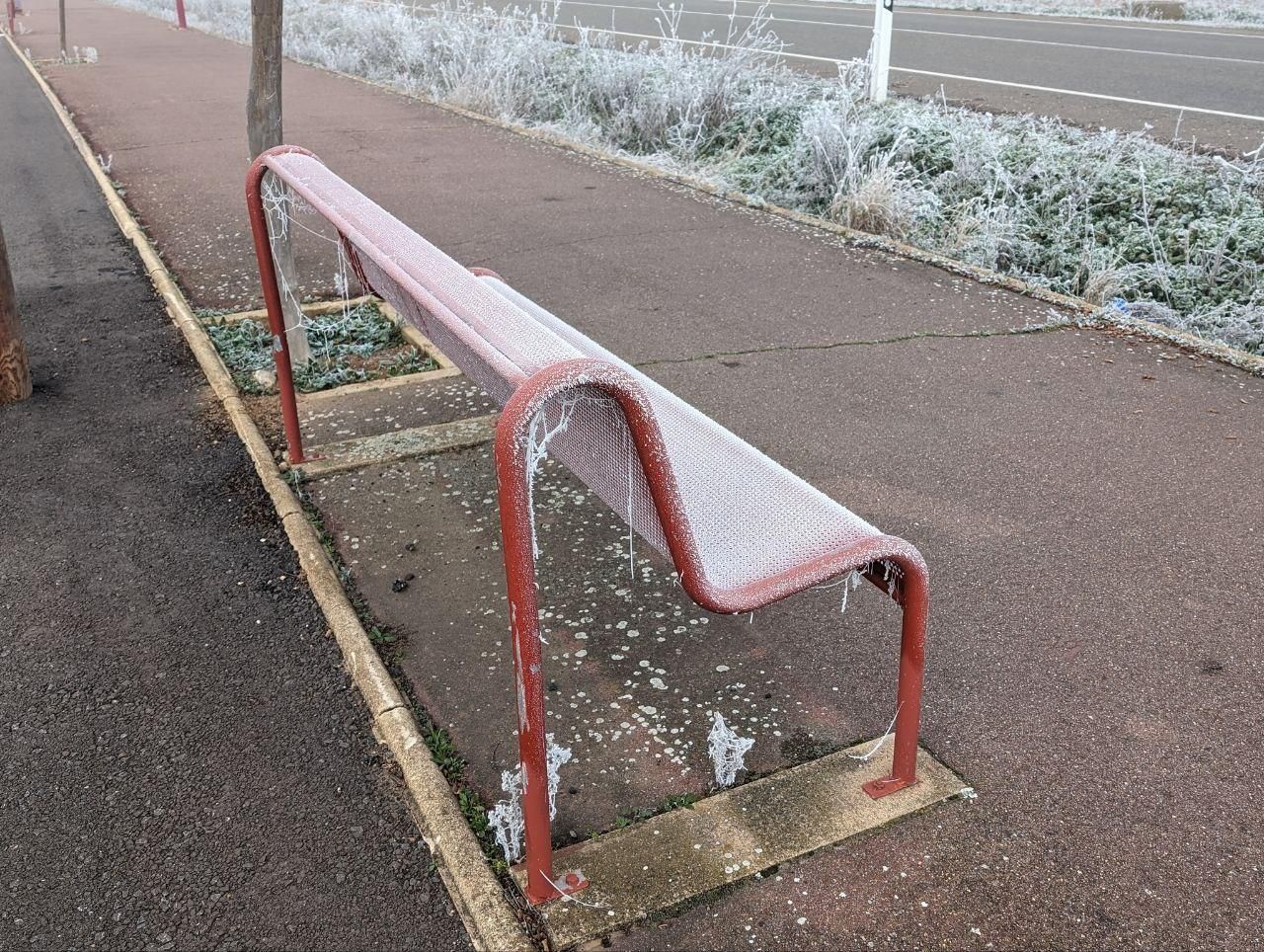 La cencellada pinta de blanco la comarca del Páramo leonés