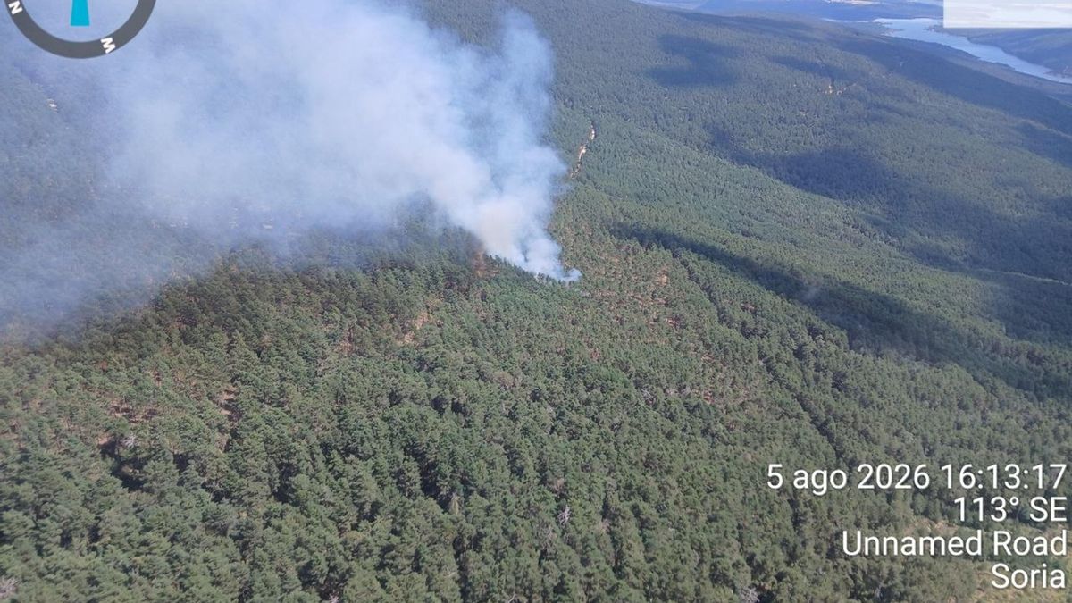 Un incendio forestal en Vinuesa, en Soria, moviliza a veintiséis medios para sofocarlo