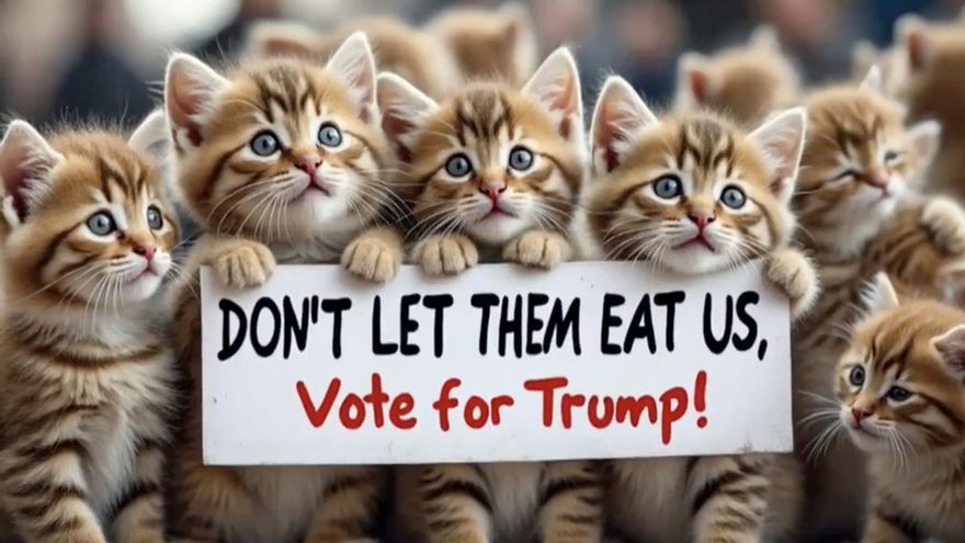 Terapias contra la desinformación