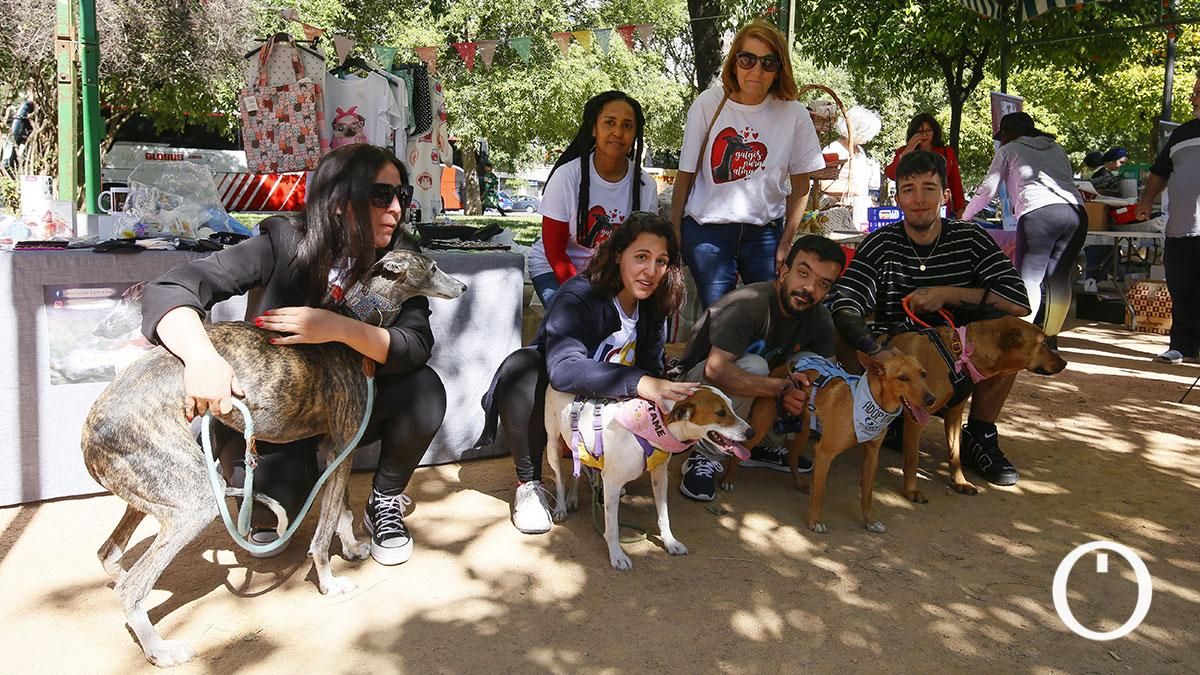 Jornada de sensibilización a la ciudadanía para la adopción de animales de compañía