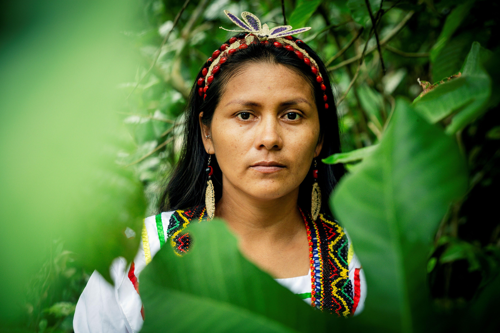 Durante una década, Avita Taricuarima, indígena kukama kukamiria, trabajó como guía turística en la Amazonía peruana sin olvidar su sueño de niña: ser científica. Foto: Patrick Murayari