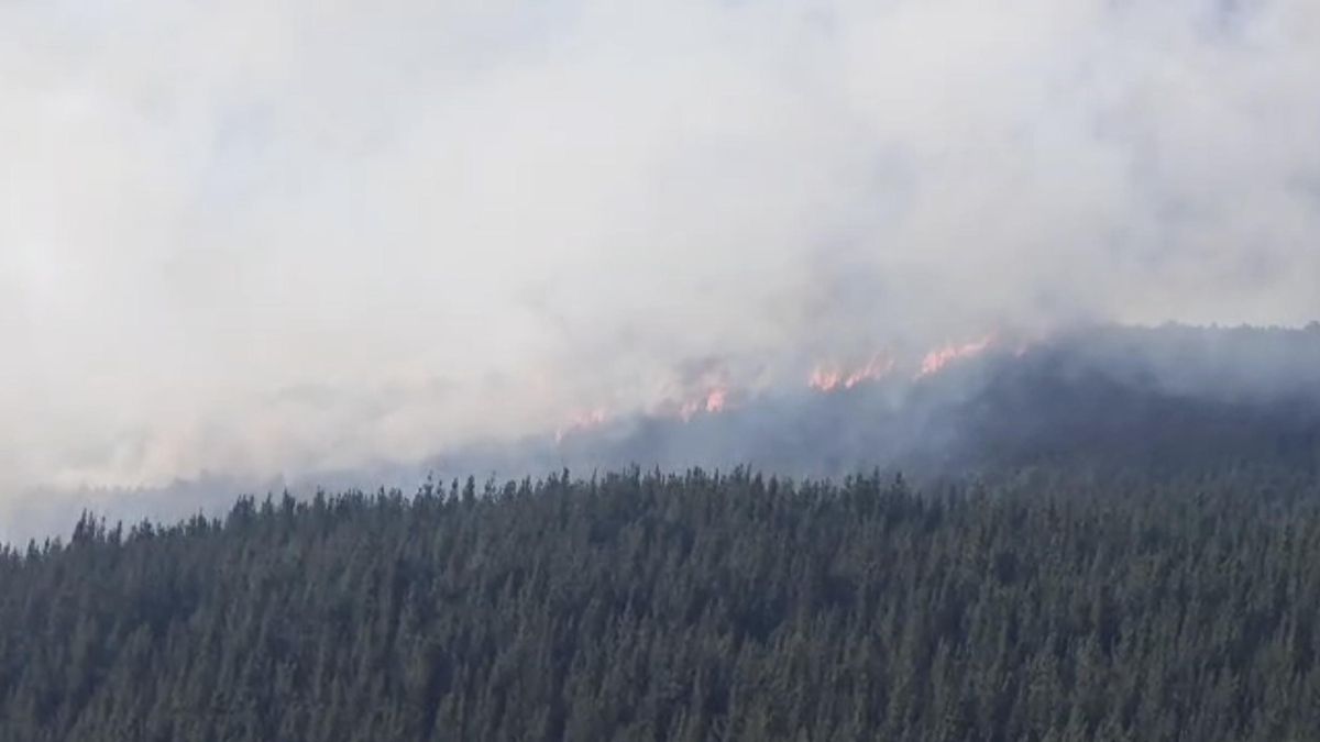 Incendio de nivel 1 en El Bierzo entre Sancedo y Arganza