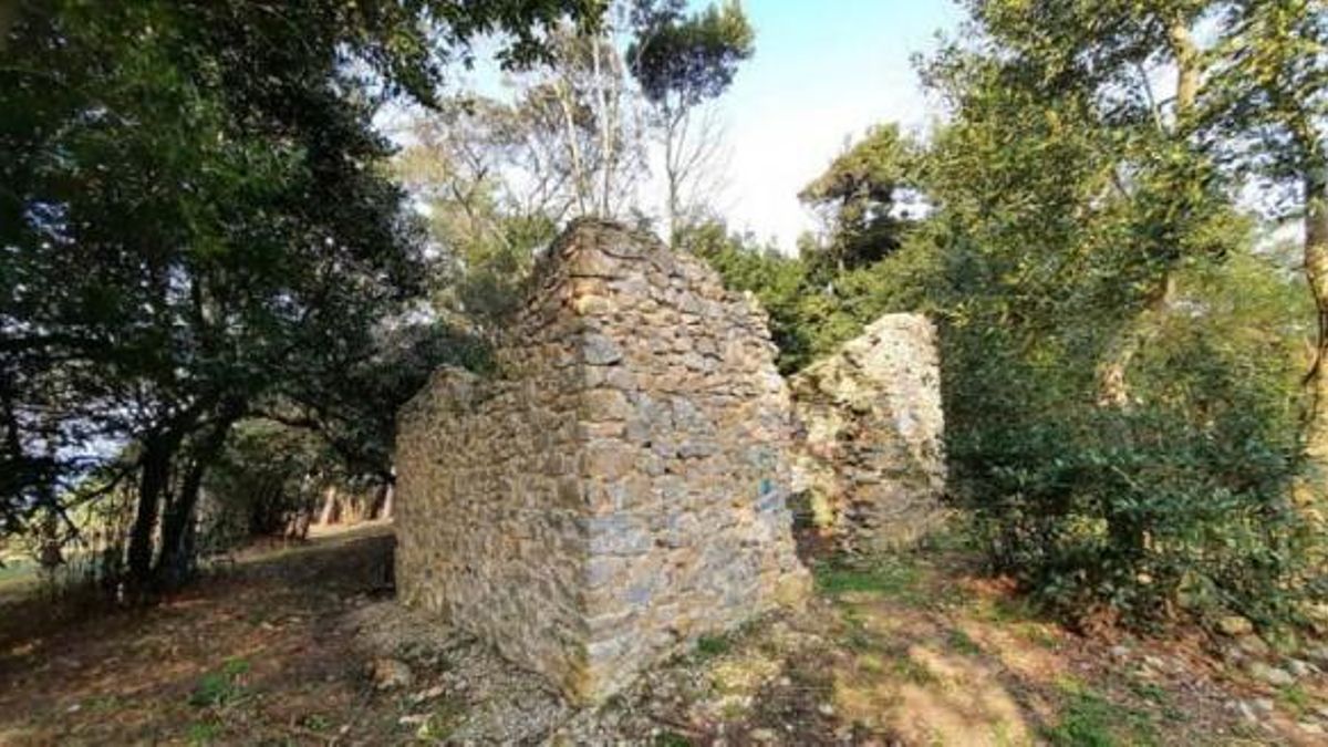 Ruina a rehabilitar en el monte Arna.