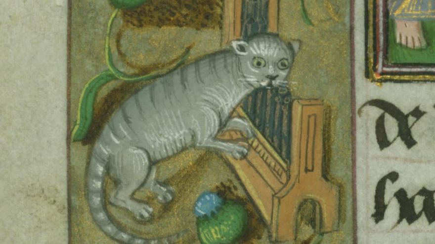 Los manuscritos medievales revelan una fascinación inesperadamente moderna: los gatos eran protagonistas en plena Edad Media