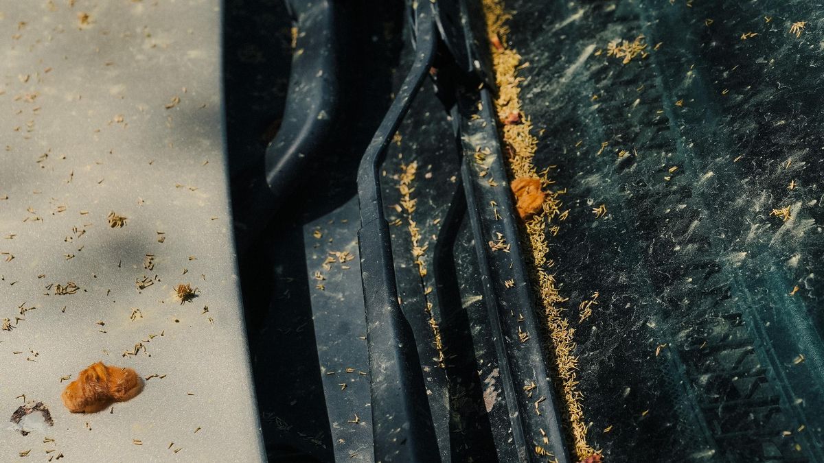 Polen en las calles y coches