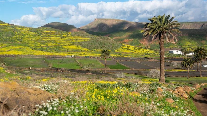 La localidad de Haría