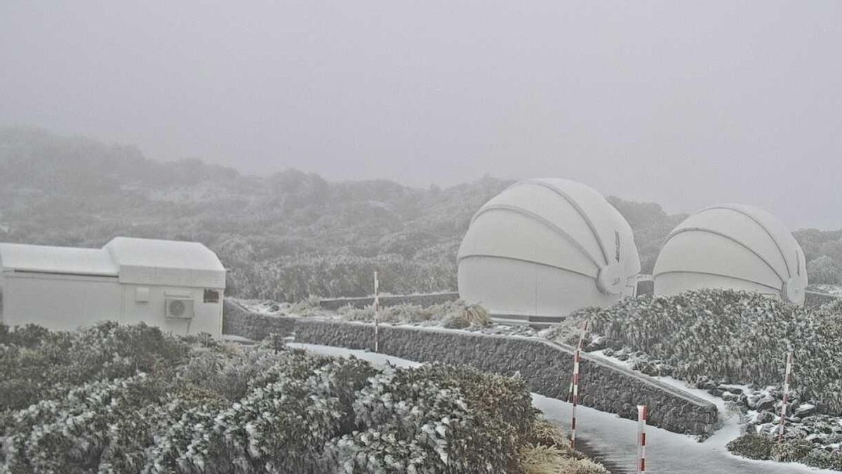 La aguanieve  y  4,1 grados bajo cero dejan en las cumbres de La Palma una capa blanca helada y el viento provoca daños