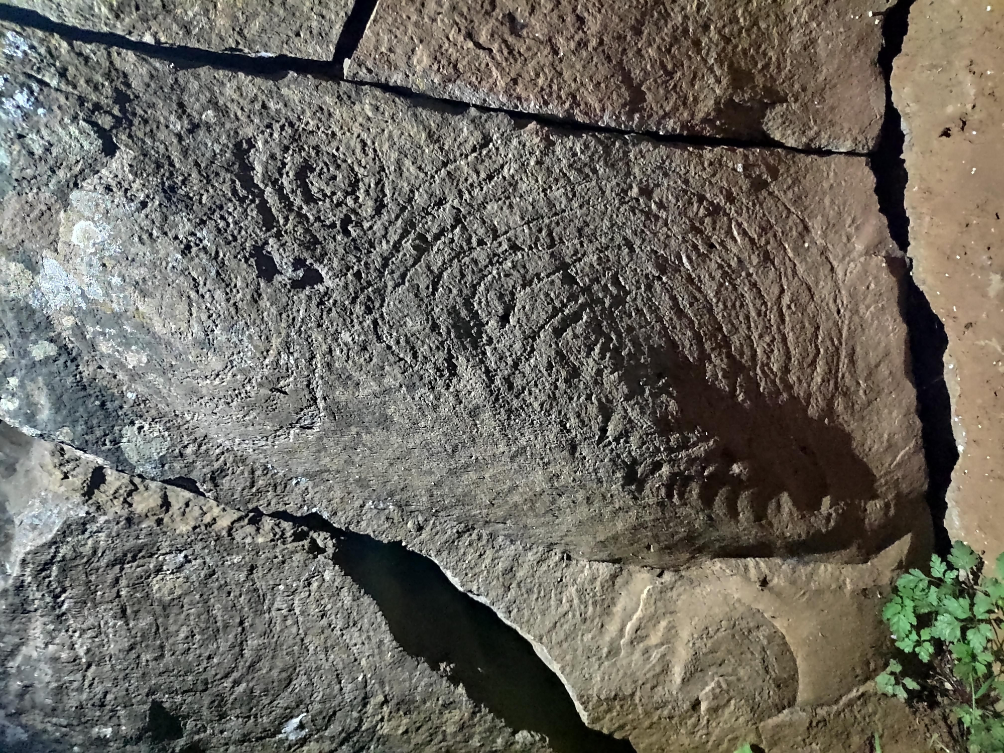 Grabados rupestres de la estación de Llano Negro.