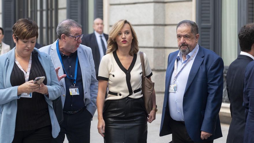 La ministra de Educación en funciones, Pilar Alegría, a su llegada al Congreso de los Diputados este miércoles.