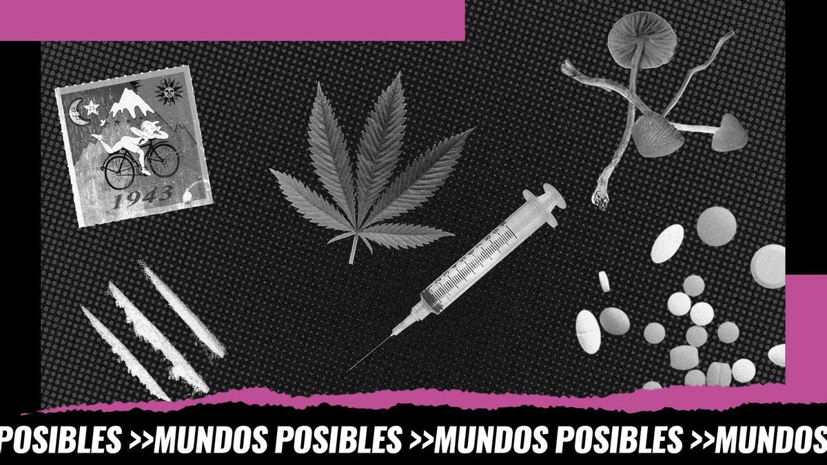 LSD, marihuana, cocaína, setas alucinógenas o pastillas, algunas de las drogas de las que hablamos en este programa