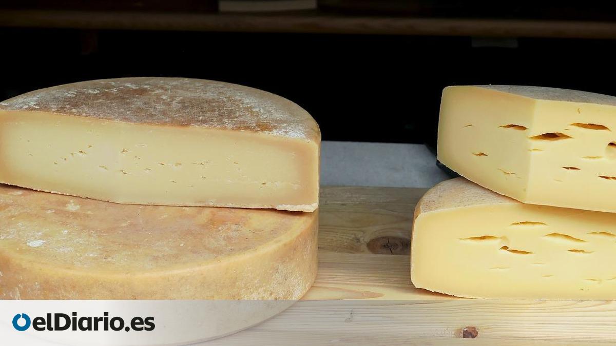 Alerta alimentaria en siete países europeos por presencia de sustancias cancerígenas en una marca de quesos veganos