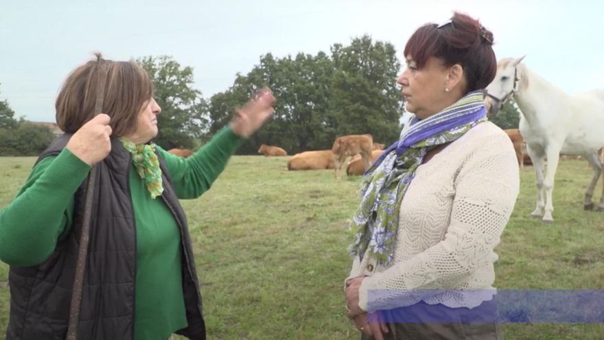 Mujeres mayores rurales: visibles y vitales