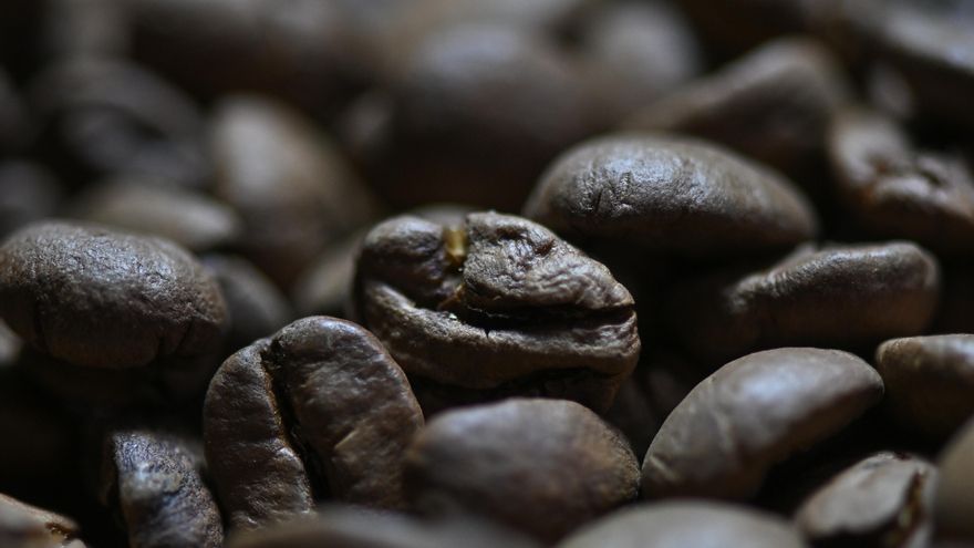 Las exportaciones de café de Brasil caen un 21,4 % hasta julio