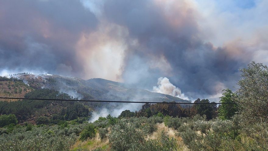 La Junta apela a la colaboración ciudadana para esclarecer autoría del incendio en Las Hurdes.