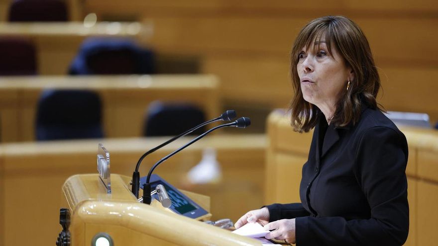 La senadora de Geroa Bai Miren Uxue Barcos interviene durante el pleno extraordinario de la Cámara Alta el 29 de enero de 2026.