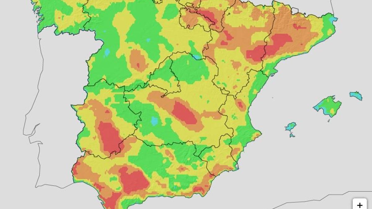 El calor intensifica el riesgo de fuegos forestales en gran parte de Extremadura