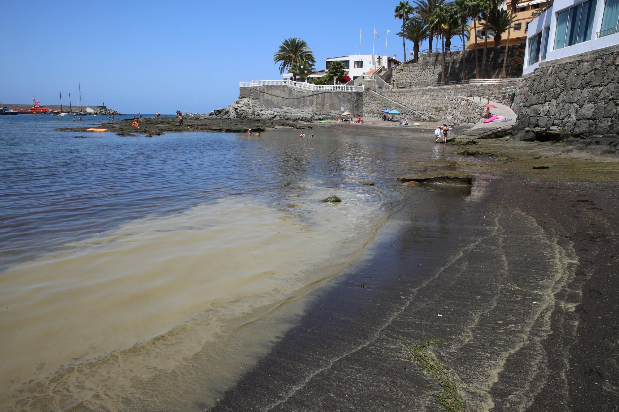 Microalgas en Arguineguín