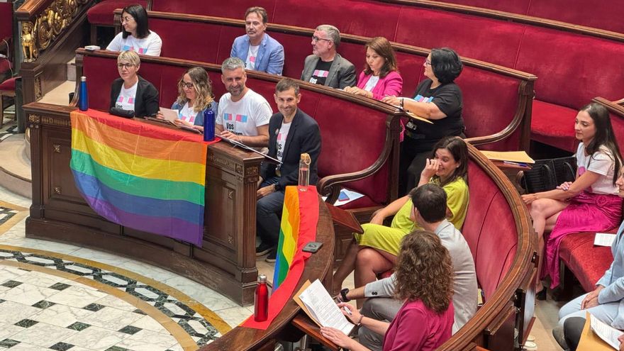 Colectivos LGTBI, contra Catalá en un pleno con banderas LGTBI: "Como gay que he sufrido violencia merezco otras palabras"