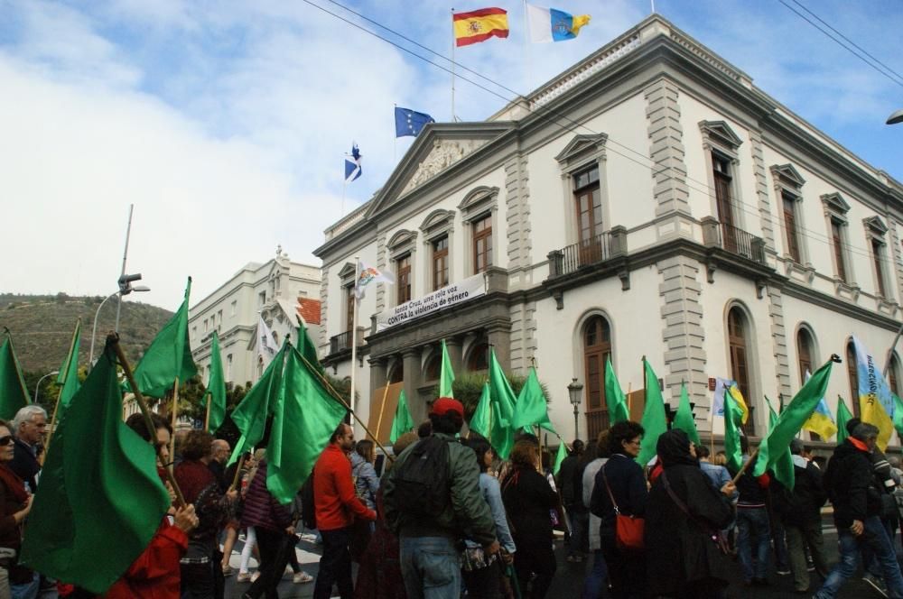 La protesta pasa frente al Ayuntamiento de la capital tinerfeña