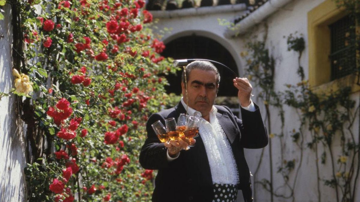 No existe un único vino de Jerez. Bajo este epígrafe caben amontillados, olorosos, cream, pedro ximénez, finos, palo cortado y manzanilla.