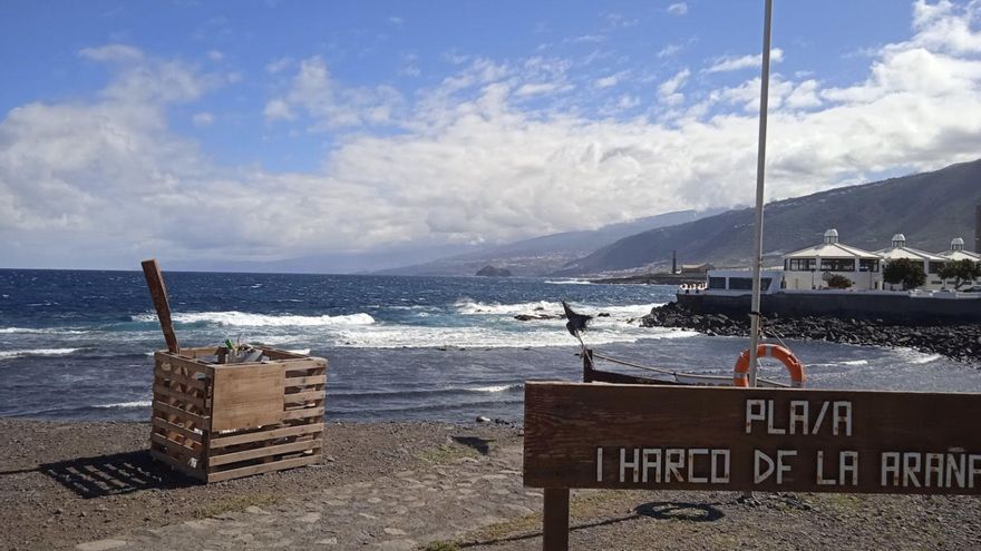 Playa del Charco de la Araña, en Tenerife