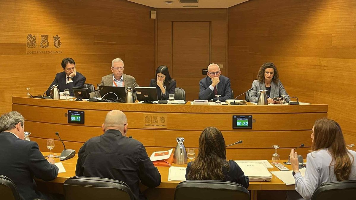 Un experto de la Politécnica, en las Corts: “Con información habría habido menos víctimas por la dana”