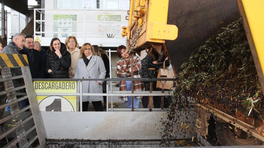 Unas 140.000 hectáreas de olivar de bajo rendimiento de Castilla-La Mancha podrán acceder a una ayuda en la nueva PAC