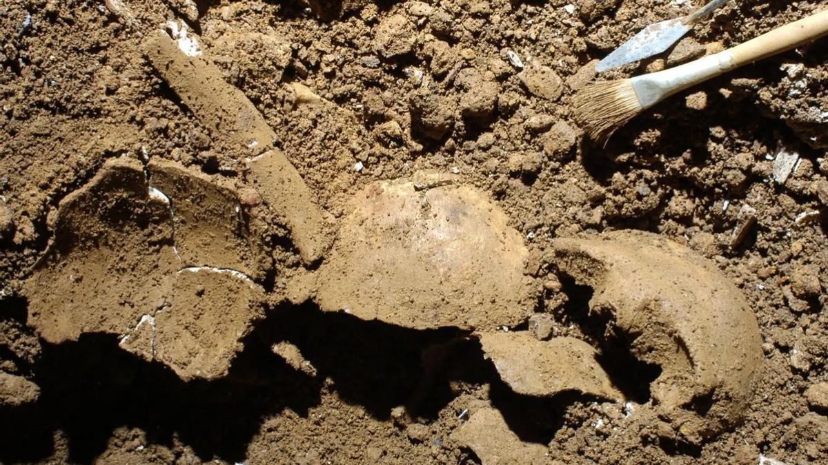 La adaptación cultural permitió aprovechar recursos pese a límites biológicos